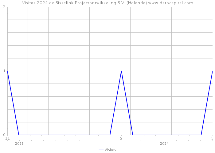 Visitas 2024 de Bisselink Projectontwikkeling B.V. (Holanda) 