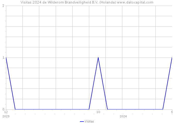 Visitas 2024 de Wilderom Brandveiligheid B.V. (Holanda) 