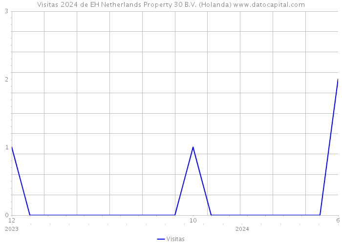 Visitas 2024 de EH Netherlands Property 30 B.V. (Holanda) 