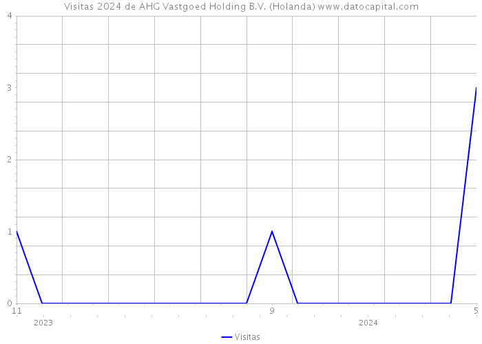 Visitas 2024 de AHG Vastgoed Holding B.V. (Holanda) 