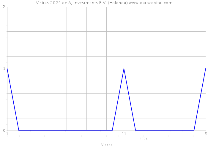 Visitas 2024 de AJ investments B.V. (Holanda) 