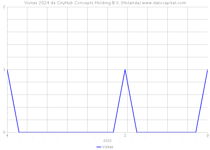 Visitas 2024 de CityHub Concepts Holding B.V. (Holanda) 