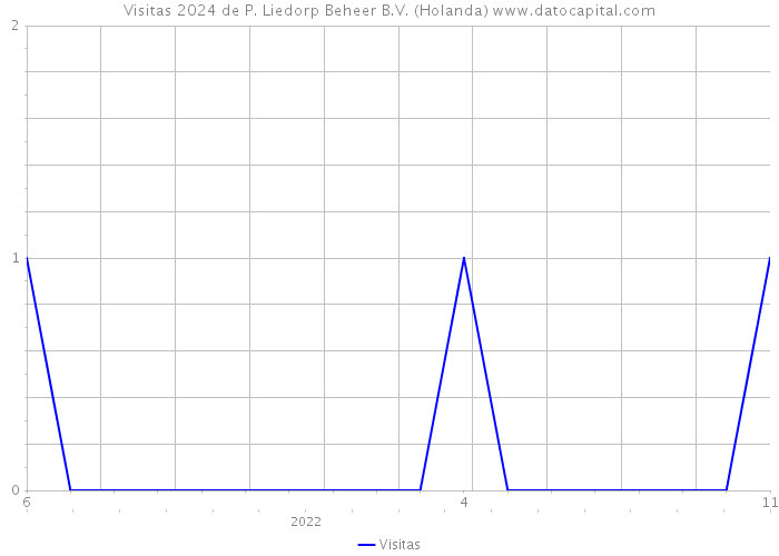 Visitas 2024 de P. Liedorp Beheer B.V. (Holanda) 