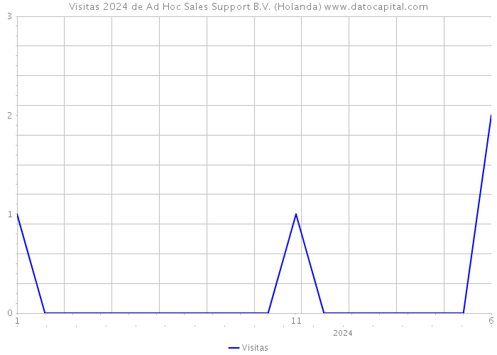 Visitas 2024 de Ad Hoc Sales Support B.V. (Holanda) 