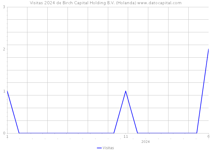Visitas 2024 de Birch Capital Holding B.V. (Holanda) 