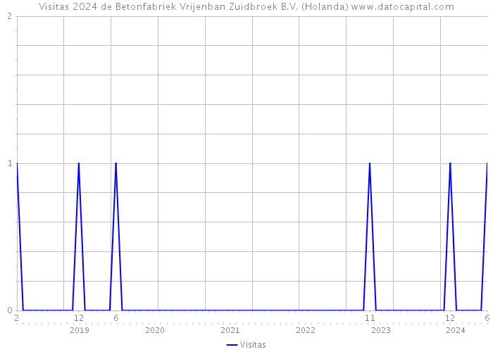 Visitas 2024 de Betonfabriek Vrijenban Zuidbroek B.V. (Holanda) 