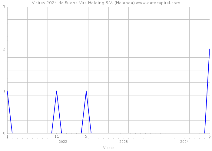 Visitas 2024 de Buona Vita Holding B.V. (Holanda) 