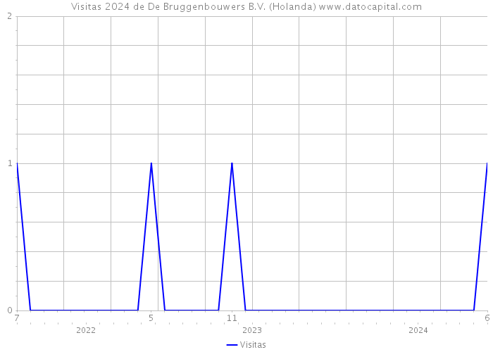 Visitas 2024 de De Bruggenbouwers B.V. (Holanda) 