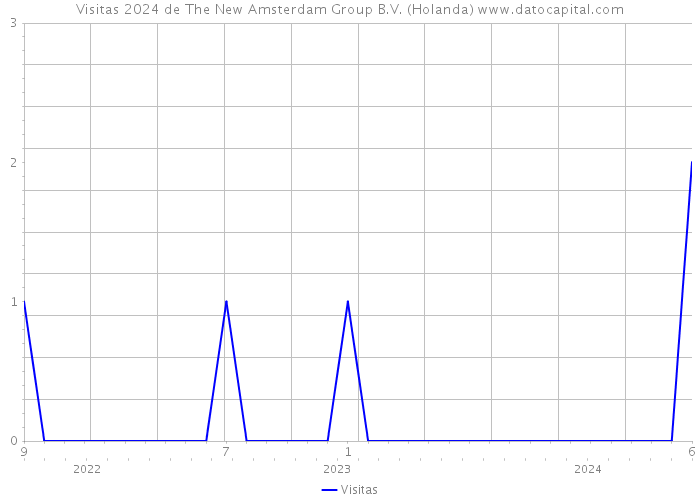 Visitas 2024 de The New Amsterdam Group B.V. (Holanda) 