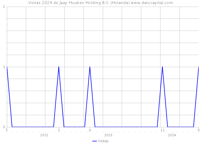 Visitas 2024 de Jaap Houben Holding B.V. (Holanda) 