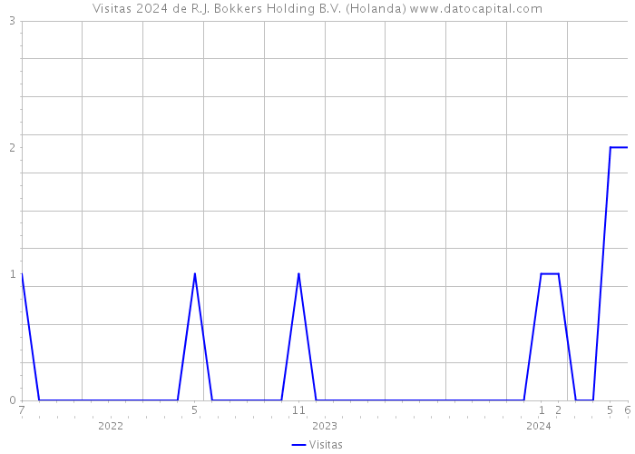 Visitas 2024 de R.J. Bokkers Holding B.V. (Holanda) 