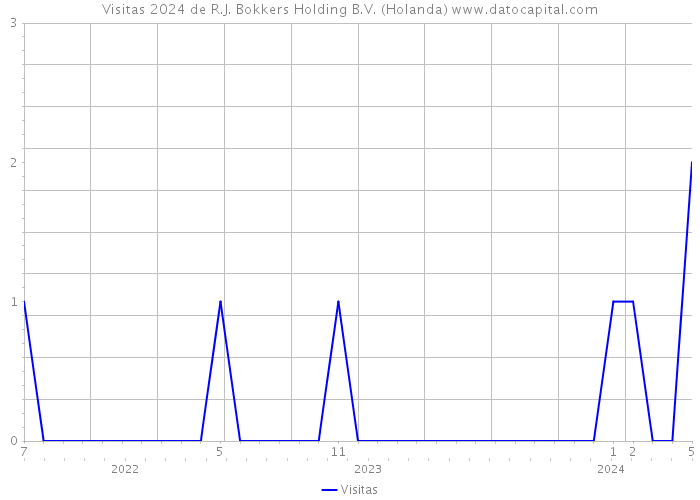 Visitas 2024 de R.J. Bokkers Holding B.V. (Holanda) 