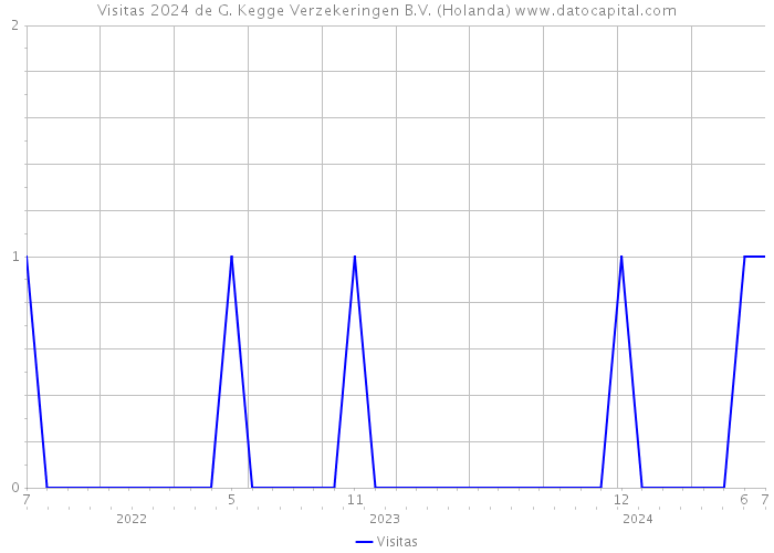 Visitas 2024 de G. Kegge Verzekeringen B.V. (Holanda) 