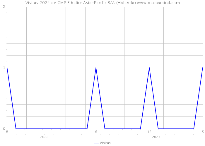 Visitas 2024 de CMP Fibalite Asia-Pacific B.V. (Holanda) 