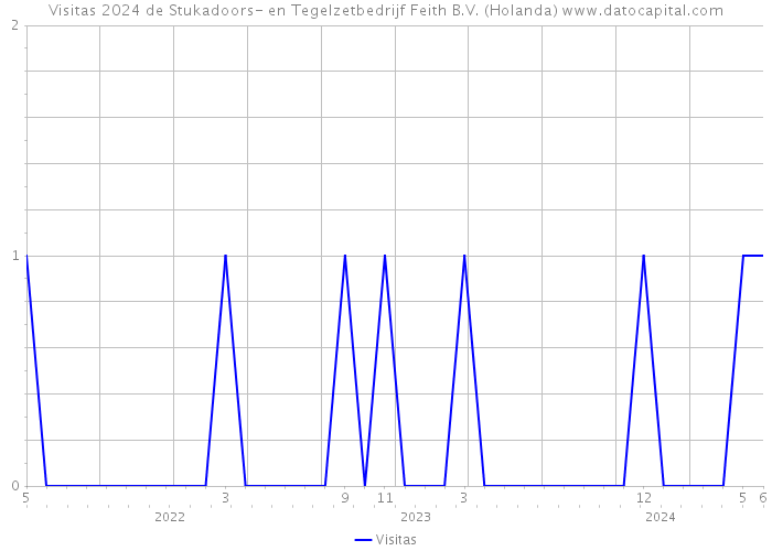 Visitas 2024 de Stukadoors- en Tegelzetbedrijf Feith B.V. (Holanda) 