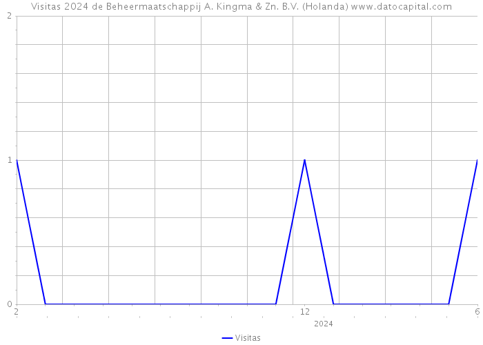 Visitas 2024 de Beheermaatschappij A. Kingma & Zn. B.V. (Holanda) 