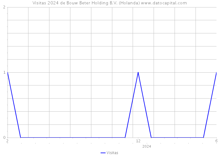 Visitas 2024 de Bouw Beter Holding B.V. (Holanda) 