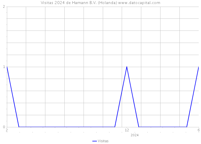 Visitas 2024 de Hamann B.V. (Holanda) 