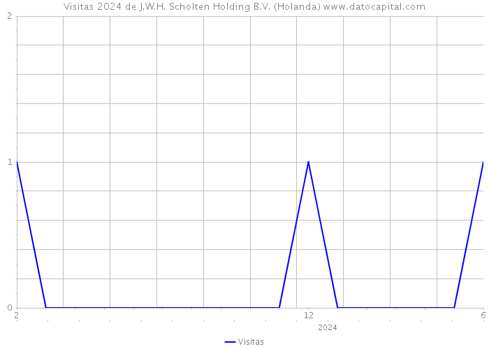 Visitas 2024 de J.W.H. Scholten Holding B.V. (Holanda) 