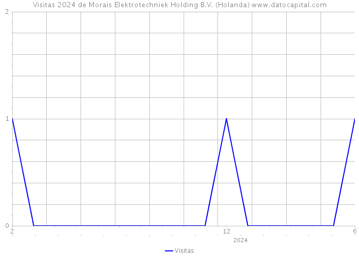 Visitas 2024 de Morais Elektrotechniek Holding B.V. (Holanda) 