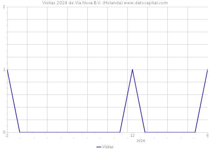 Visitas 2024 de Via Nova B.V. (Holanda) 