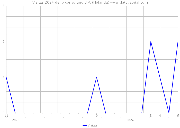 Visitas 2024 de fb consulting B.V. (Holanda) 