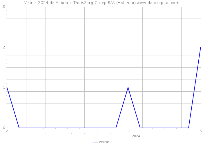 Visitas 2024 de Alliantie ThuisZorg Groep B.V. (Holanda) 