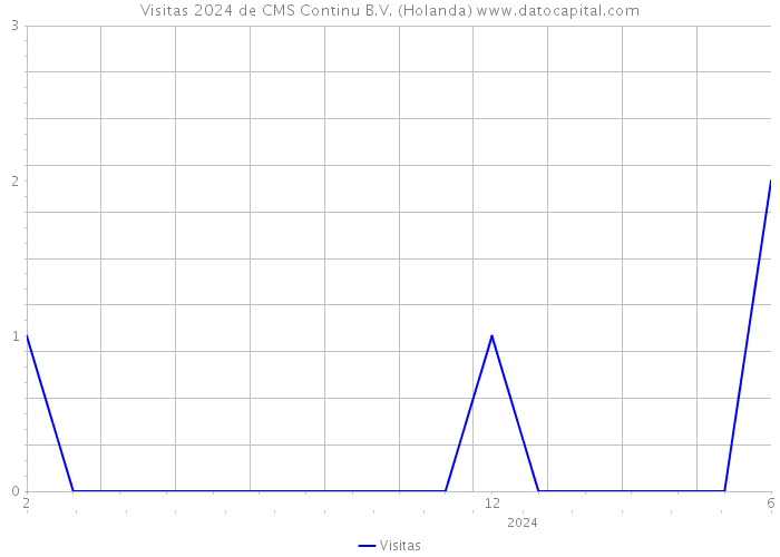 Visitas 2024 de CMS Continu B.V. (Holanda) 