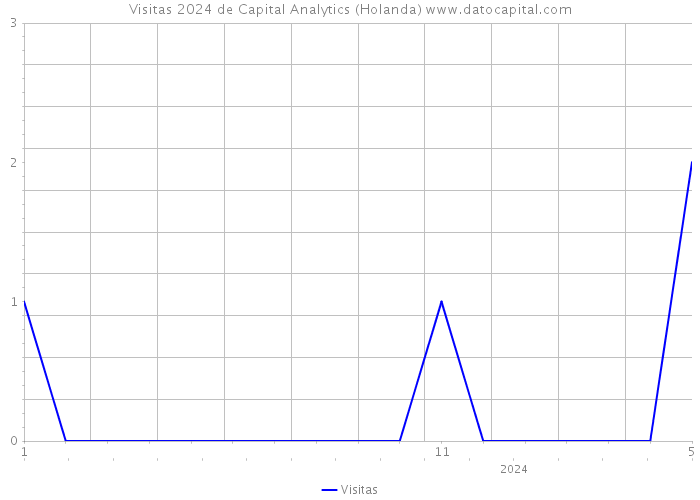 Visitas 2024 de Capital Analytics (Holanda) 