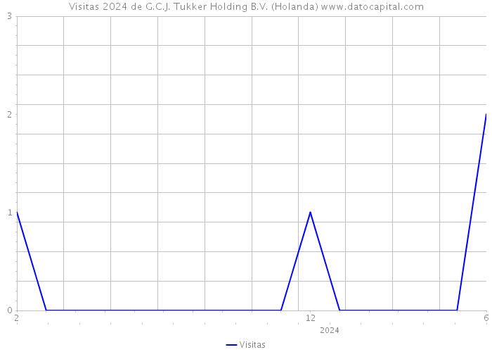 Visitas 2024 de G.C.J. Tukker Holding B.V. (Holanda) 