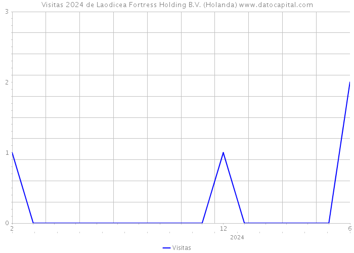 Visitas 2024 de Laodicea Fortress Holding B.V. (Holanda) 
