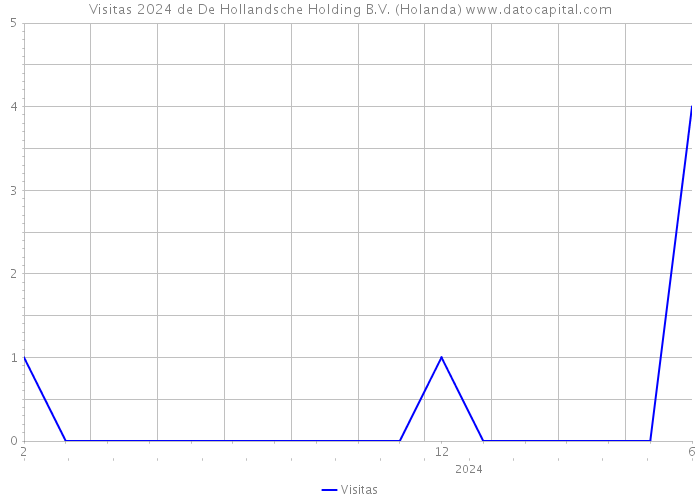 Visitas 2024 de De Hollandsche Holding B.V. (Holanda) 