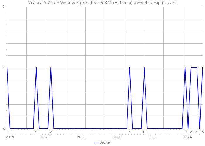 Visitas 2024 de Woonzorg Eindhoven B.V. (Holanda) 