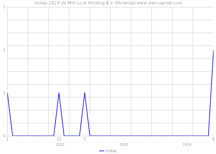 Visitas 2024 de Mill-Lock Holding B.V. (Holanda) 