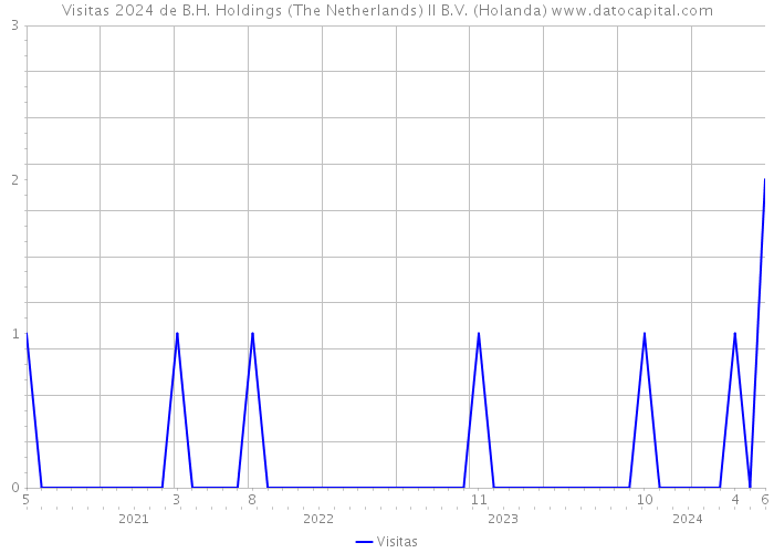 Visitas 2024 de B.H. Holdings (The Netherlands) II B.V. (Holanda) 