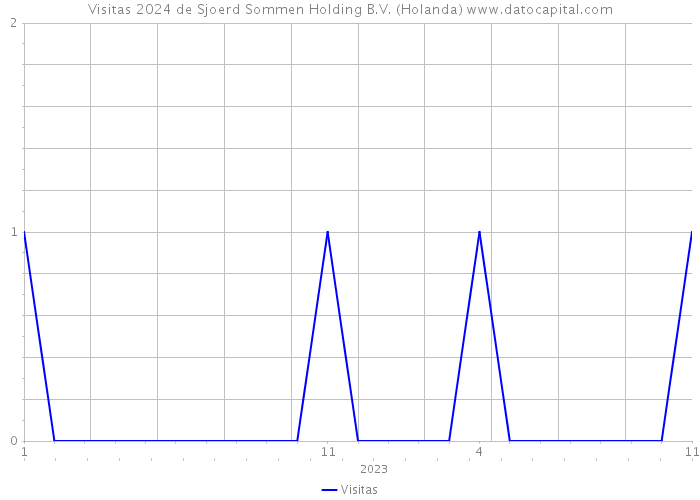 Visitas 2024 de Sjoerd Sommen Holding B.V. (Holanda) 