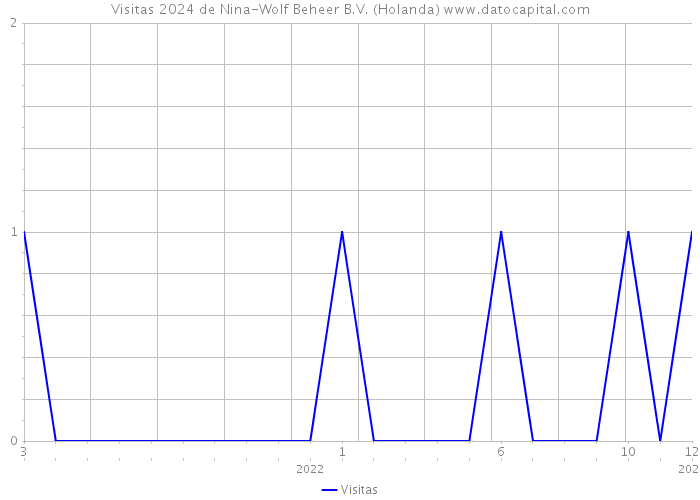 Visitas 2024 de Nina-Wolf Beheer B.V. (Holanda) 