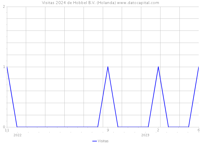 Visitas 2024 de Hobbel B.V. (Holanda) 