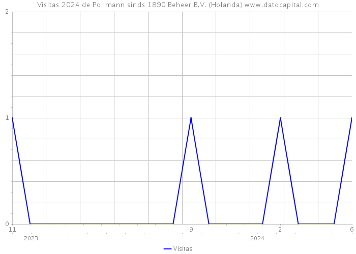 Visitas 2024 de Pollmann sinds 1890 Beheer B.V. (Holanda) 