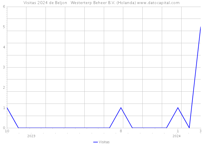 Visitas 2024 de Beljon + Westerterp Beheer B.V. (Holanda) 