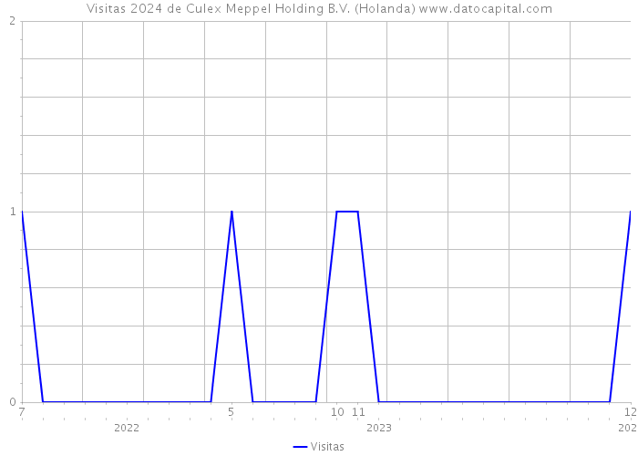 Visitas 2024 de Culex Meppel Holding B.V. (Holanda) 