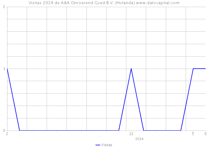 Visitas 2024 de A&A Onroerend Goed B.V. (Holanda) 