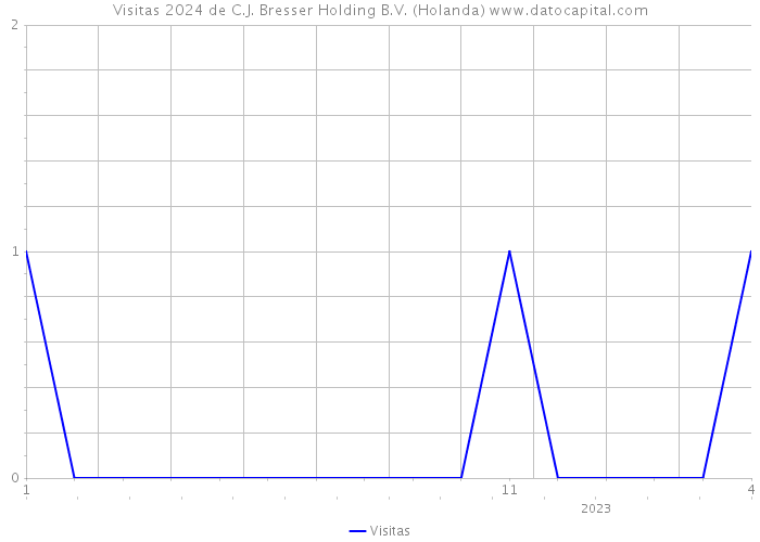 Visitas 2024 de C.J. Bresser Holding B.V. (Holanda) 