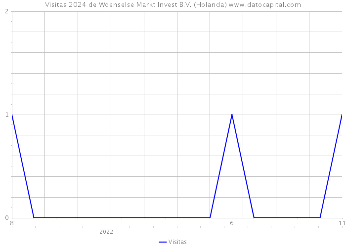 Visitas 2024 de Woenselse Markt Invest B.V. (Holanda) 