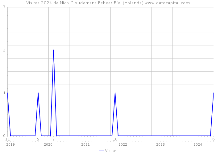 Visitas 2024 de Nico Gloudemans Beheer B.V. (Holanda) 