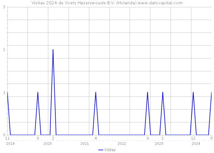 Visitas 2024 de Voets Hazerswoude B.V. (Holanda) 