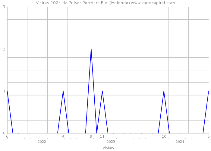 Visitas 2024 de Pulsar Partners B.V. (Holanda) 