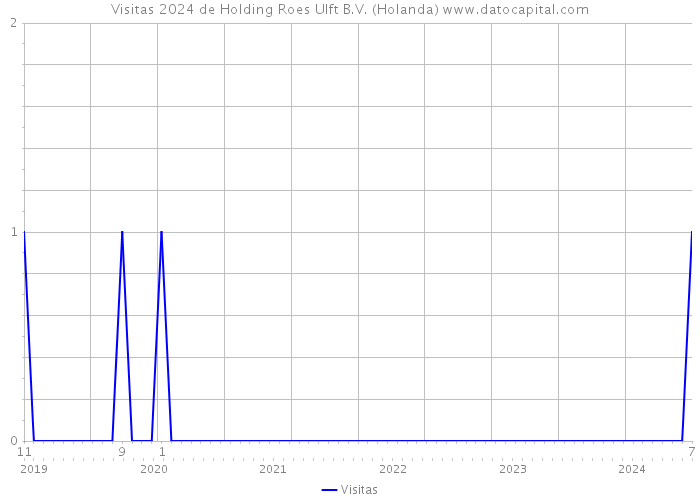 Visitas 2024 de Holding Roes Ulft B.V. (Holanda) 