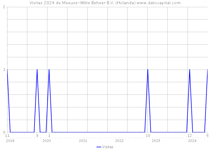 Visitas 2024 de Meeuse-Witte Beheer B.V. (Holanda) 