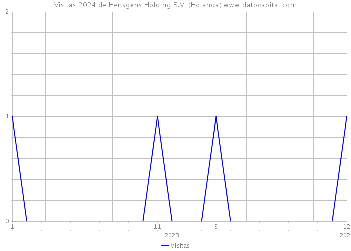 Visitas 2024 de Hensgens Holding B.V. (Holanda) 